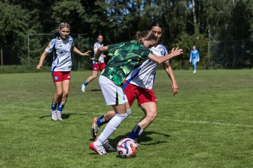 Bild 428 - wBJ Hamburger SV - VfL Wolfsburg : Ergebnis: 5:1